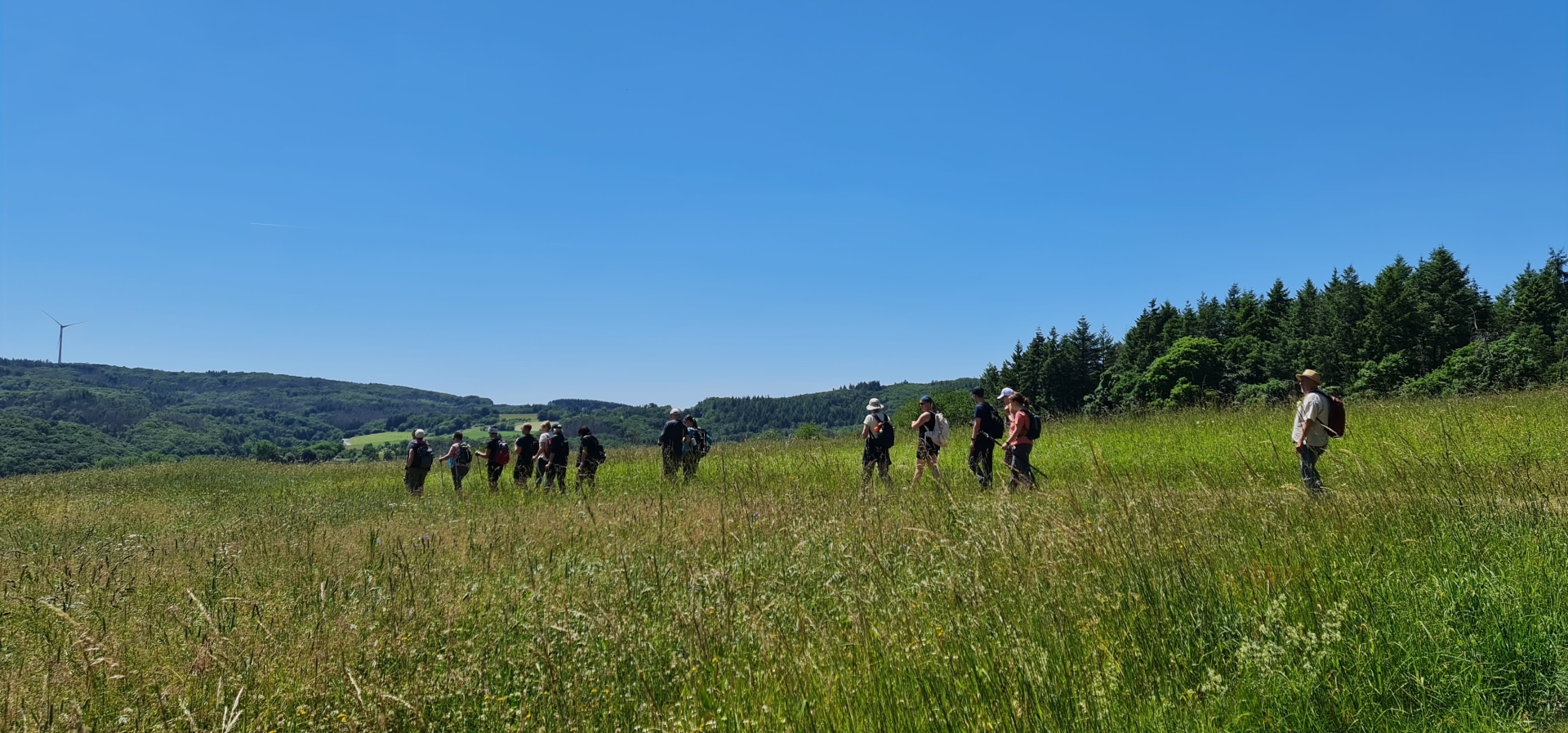 Geführte Wanderung