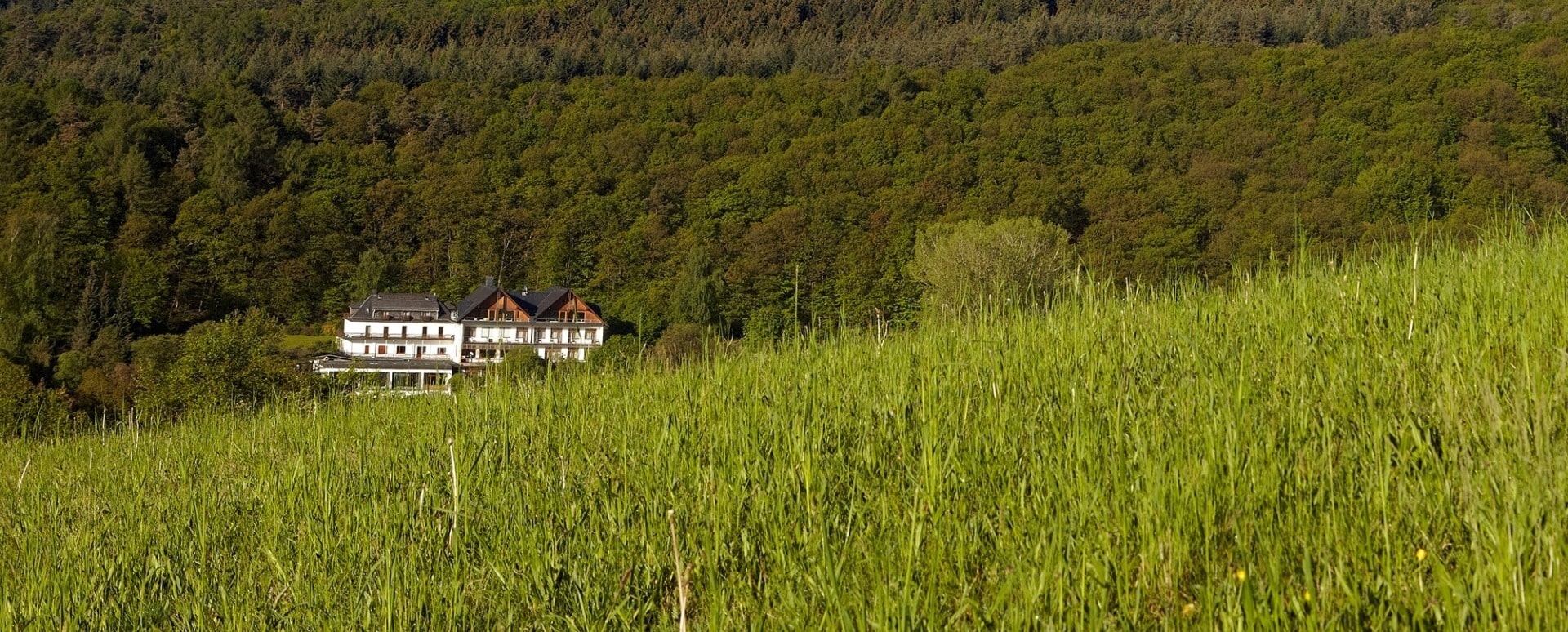 "Tourist, fühle ein Zuhause!"